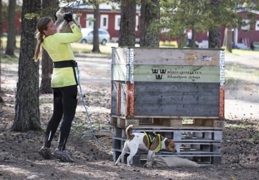 K9 Biathlon i norr 2017 2 september genomfördes den tredje tävlingen sedan 2015 i Svenska Brukshundklubbens regi.