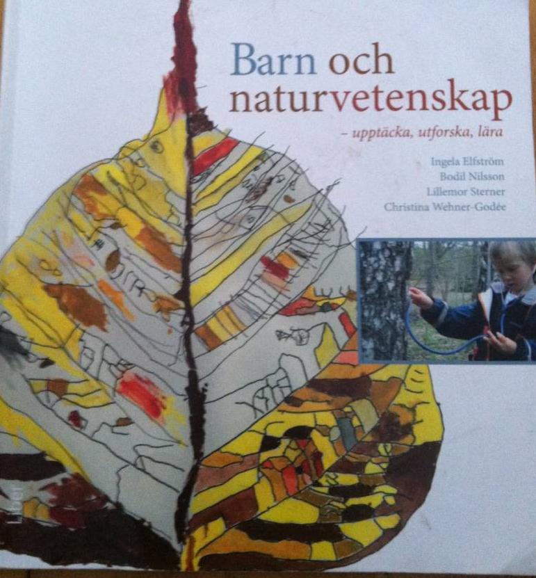 En dokumentation blir pedagogisk först när den blir föremål för reflektion och tolkning och fungerar som