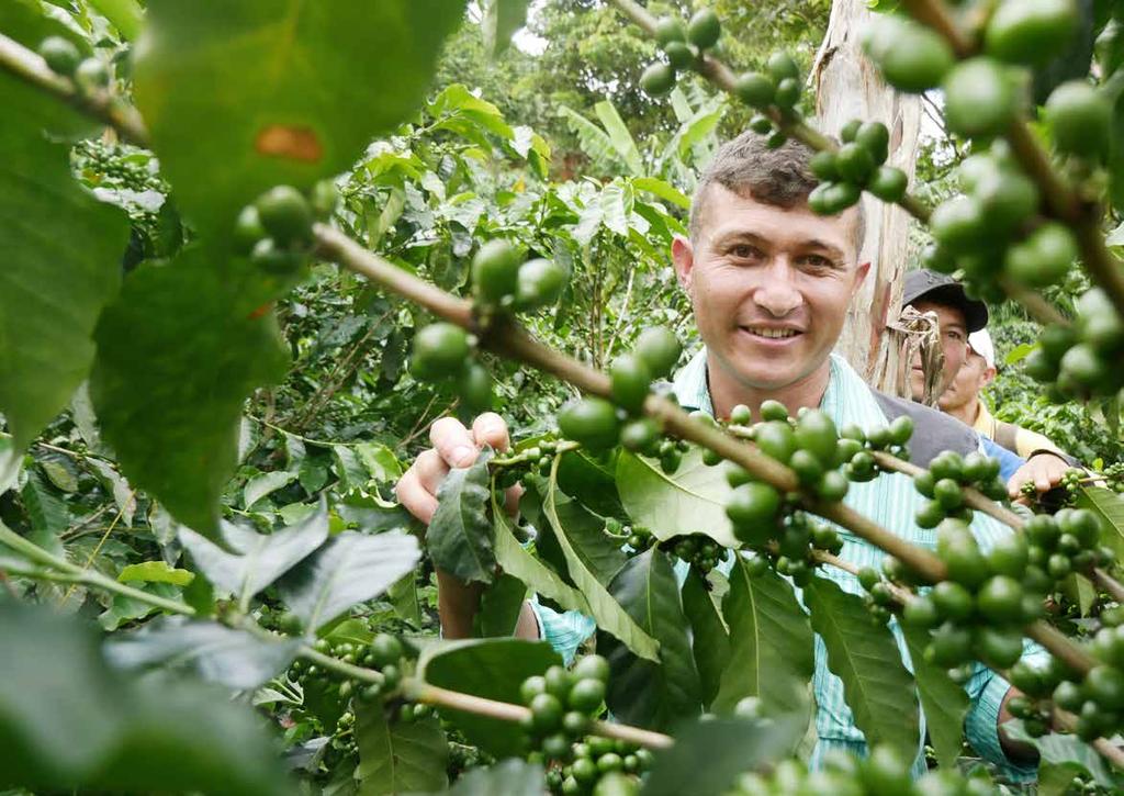 SÅ ODLAR VI FRAMTIDENS KAFFE