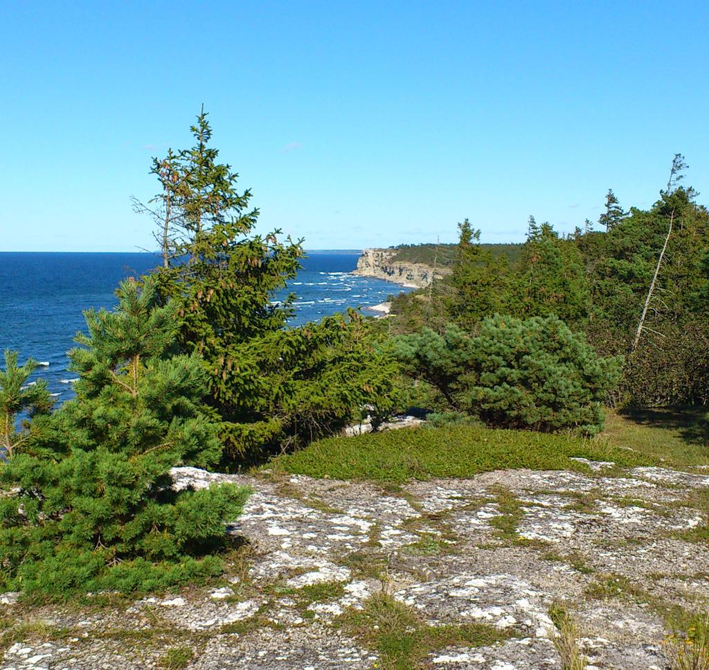 MILJÖKONSEKVENSBESKRIVNING PLANERAD likströmsförbindelse MELLAN GOTLAND OCH FASTLANDET Oktober 2013