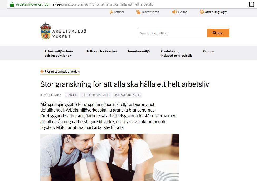 Exempel på initiativ och aktiviteter i Sverige 2015 Fokuserade inspektioner Arbetsmiljöverket Sommarkampanj: LO söker upp typiska sommarjobb och informerar om rättigheter och krav i arbetslivet