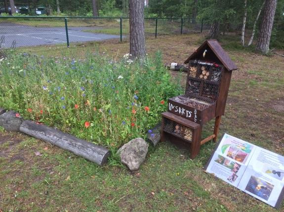 Delmål: Anlägga en torräng, sätta upp solskydd, anlägga en skogsträdgård, tillverka ett insektshotell och insektsbad, tillverka och sätta upp fågelholkar.