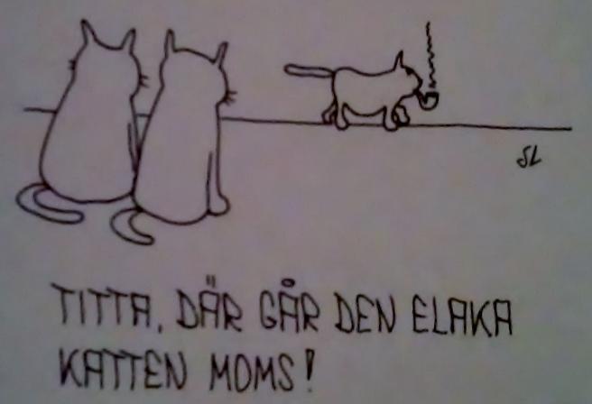 Staffan Lindén (1980): Den elaka mervärdeskatten moms.
