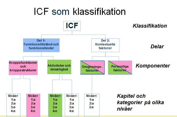 5 (32) För att använda modellen behövs kunskap om koder för funktionstillstånd, ICF. ICF står för klassifikation av funktionstillstånd, funktionshinder och hälsa.