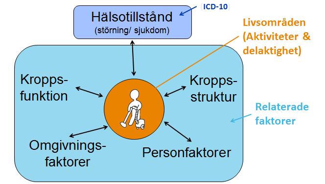 utförande av aktiviteter. I modellen motsvaras livsföringen av de nio livsområden som beskrivs i ICF.