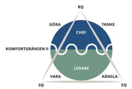 spiritualitet som även en del författare väljer att använda som begrepp är basen i ett medmänskligt ledarskap och därmed en viktig aspekt av ledarintelligens.