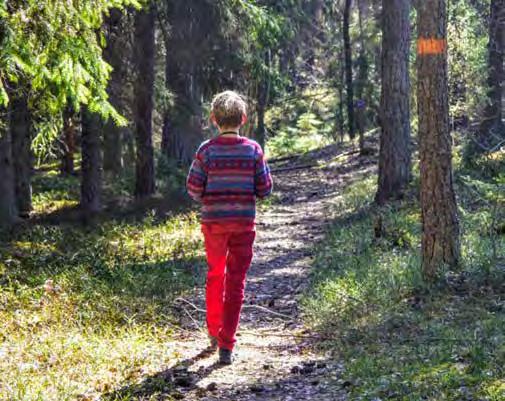 et behövs inte mycket utrustning för att vandra. Viktigast är skorna, bra ingångna vandringskängor eller gympadojor. Har det varit blött en längre tid kan det vara säkrast att välja gummistövlar.