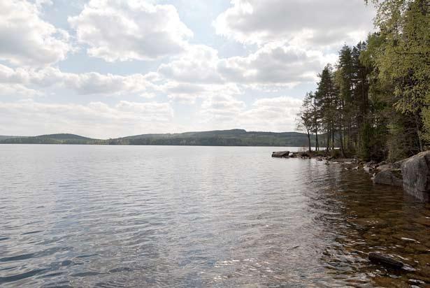 Det kommunala vattnet Från vattentäkterna i Hagfors kommun levereras under ett år ca 1,6 miljoner kubikmeter vatten. Det motsvarar 4 370 m 3 /dygn.