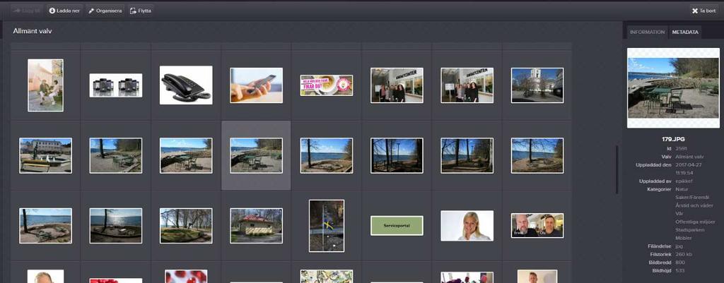 göra med bilden. Knapparna är Ladda ner, Organisera och Flytta.