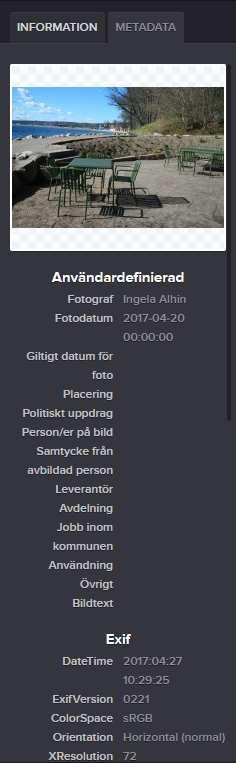Man ser bildens namn, bildens ImageVault ID, när den är uppladdad och av vem, vilka kategorier den har med mera.