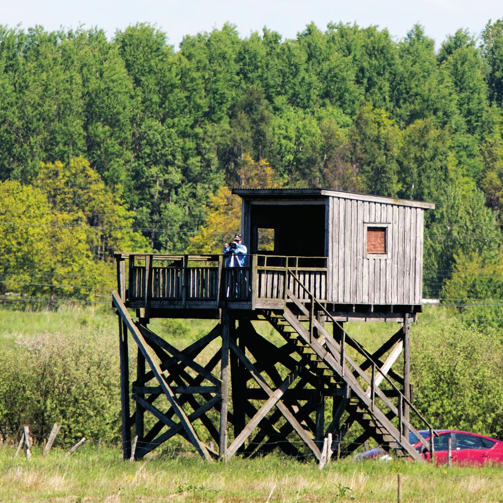 NATUR OCH TURISM Unga röster: I Trönninge, vid Hammarsberg, finns det en camping. I Trönninge samhälle finns det också övernattningsmöjligheter för turister.