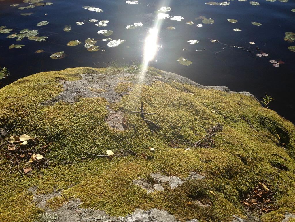 Sydnärkes folkhälsoteam,