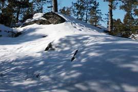 m, antagen 1954-05-15 som föreskriver parkmark Planarbetet föregicks av ett programsamråd. Detaljplaneprogrammet skickades ut till samtliga berörda under tiden 24 mars till och med 19 april 2004.