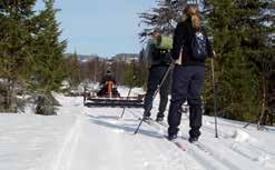 skidspår eller skoterleder.