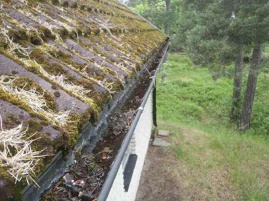 Hängrännor Hängränna med dålig lutning och behov av rensning noteras.