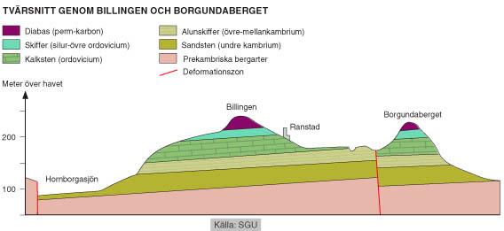 Berg och