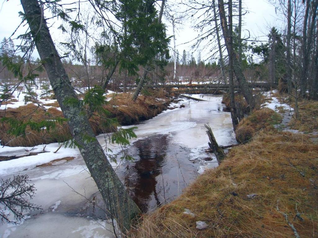 SAMRÅDSREDOGÖRELSE