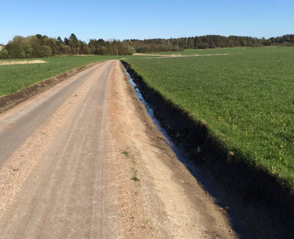 Dikning/dikesrensning Det är viktigt att vägen dräneras ordentligt genom att dikena hålls välrensade.