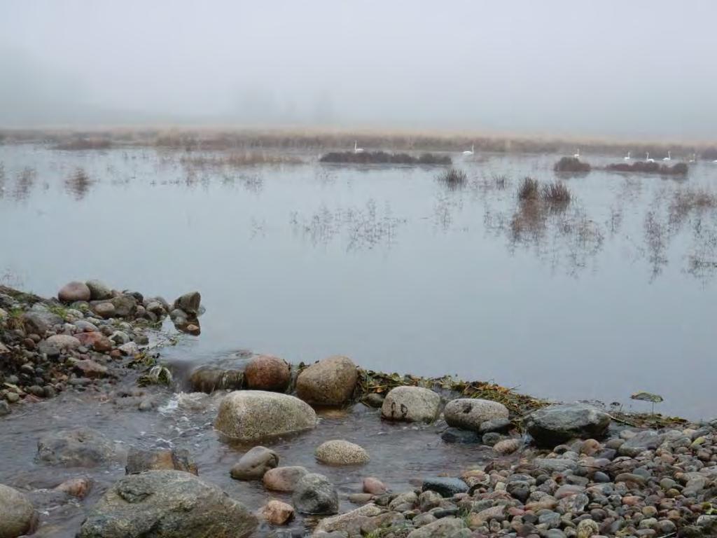 Exempel på åtgärder Fiskvägar/faunapassager Utrivning av dammar Biotopvård, t ex stenutläggning Restaurering av våtmarker (gäddfabriker) Sportfiskarna