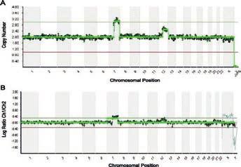 Preimplantatorisk genetisk diagnostik 20 års