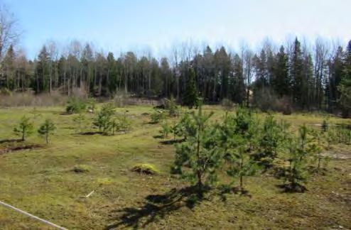 Boverkets riktvärden för skyddsavstånd ska göra det möjligt att planera så att man kan bo och vistas intill en farlig eller störande verksamhet samtidigt som verksamheten ska kunna fungera på sikt på