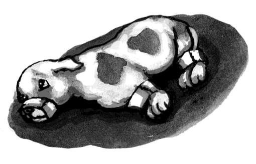 (Halvarsson, 2010 s. 29) Läraren lät dem skriva ner sina tankar om bilden och flera elever skrev om hur synd det är om valpen. En elev frågade om det här hänt "på riktigt".
