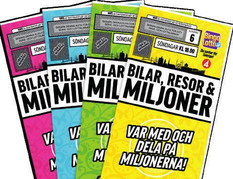 DU VÄLJER VINSTEN! BingoLotto är en blandning av underhållning och spel, där just kombinationen dem emellan är programmets kärna.