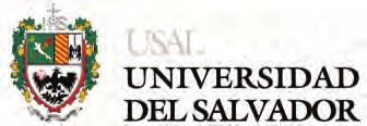 21. Universidad del Salvador År 2008 undertecknades vid Åbo Akademi ett nytt utbytesavtal med Universidad del Salvador i Buenos Aires i Argentina. Universitetet är privat och ca. 17.