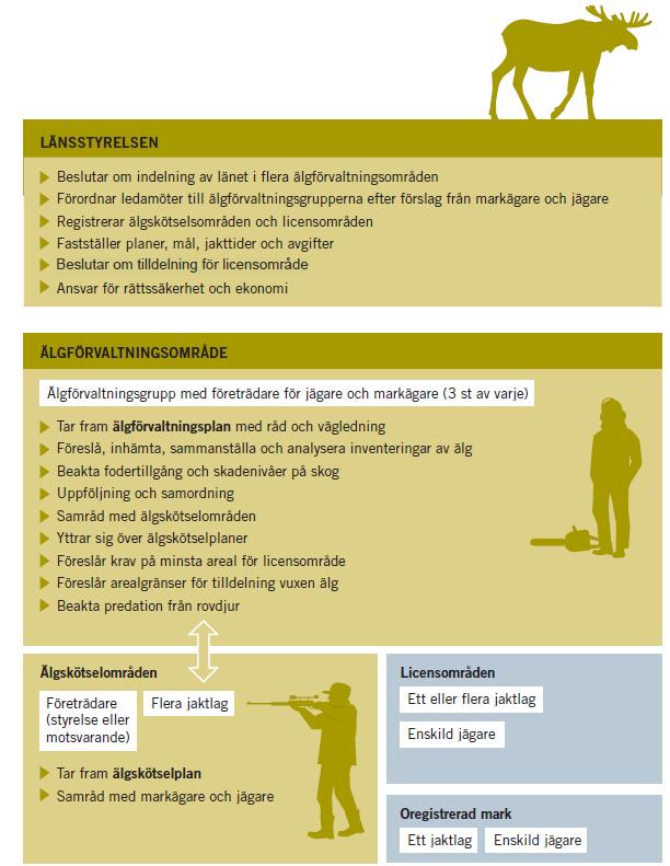 1 Inledning Den nya älgförvaltningsmodellen, med start 1 januari 2012, bygger på en organiserad samordning av jakten över större områden i syfte att skapa balans mellan storleken på älgstammen och