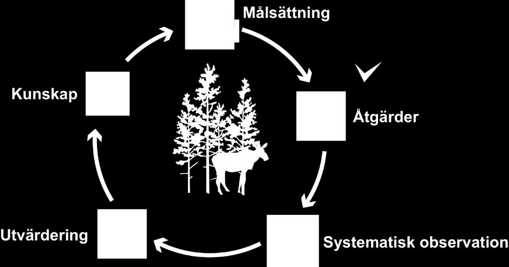 Motivet för och det viktigaste syftet med ett nytt förvaltningssystem är i korthet att det gamla systemet inte förmått minska älgskadorna samt att markägarna ska ges större inflytande på