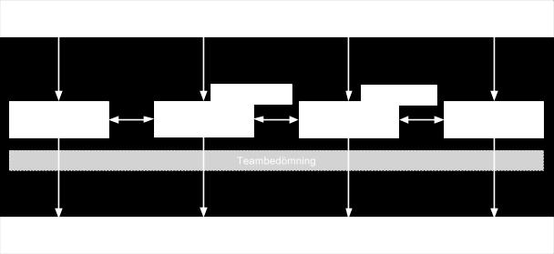 flaggor ca 3 min Diagnostisering ca 5 min Funktionell analys ca 10 min Problemsammanfattning och