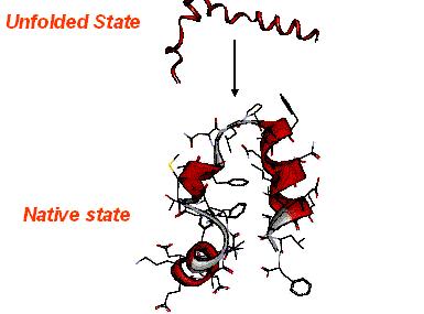 Translationen stegvis Hela ribosomkomplexetdissocieras och