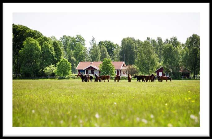 I Värmskog finns möjligheten att bygga ut söder om hembygdsgården. Där finns skola, förskola, café, vandringsleder och möjlighet till vattennära boende.