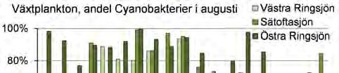 Oligotrofa arter, d v s arter som förekommer under näringsfattiga förhållanden, var mycket ovanliga i Ringsjöarna.