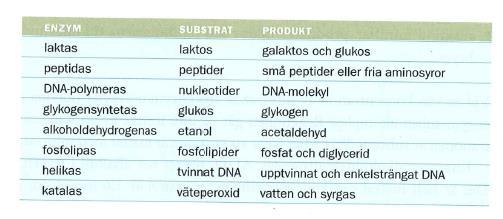 Exempel på enzymer och deras verkan Substrat ämnet