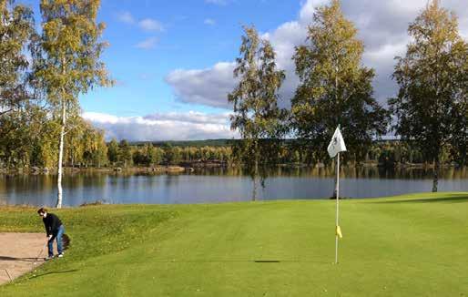 Herosfältet Idrottsanläninar I Smedjebackens tätort finns ett stort utbud av idrottsanläninar: Herosfältet med lokaler för hockey,