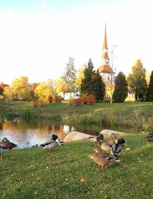 I syfte att rena davattnet och öka skönhetsvärdet i Uddparken öppnades en davattenlednin upp och det skapades dammar för fördröjnin 2009, efter att parken efterbehandlats med avseende på