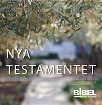 Nya testamentet - Ljudbok PDF ladda ner LADDA NER LÄSA Beskrivning Författare:.