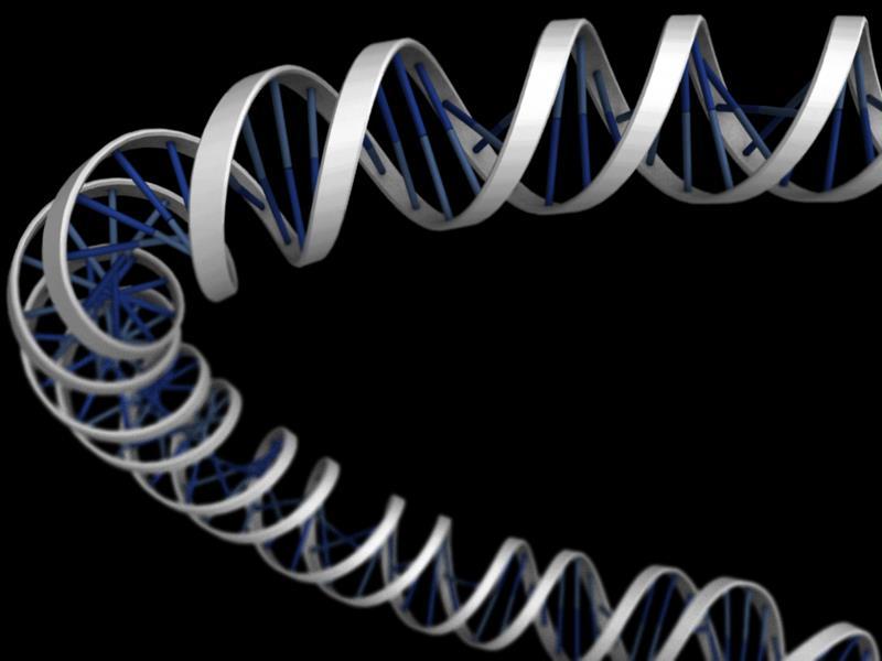 Biologi hösten år 9 Genetik läran om ärftlighet Tornhagsskolan den 14 november 2017 DET HÄR HÄFTET TILLHÖR: Vad ska vi göra? Den här terminen ska vi att arbeta med genetik läran om ärftlighet.