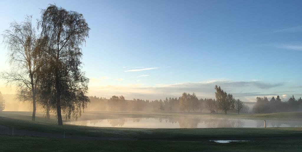 FREDAGSGOLFENS VÄNNER 30 ÅR Det hela började med den så kallade gardingolfen med rötter från Sture Gardin i Skällinge.