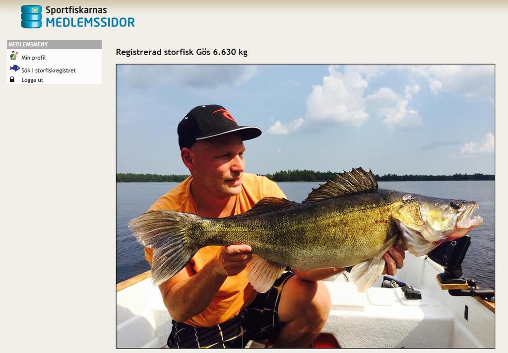 Fisket Inom Högsby kommun finns flera kända fiskevatten, väl omtalade för god mängd fisk och stor fisk. Gösen är en populär fiskart som satts ut flera sjöar och som är en uppskattad matfisk.