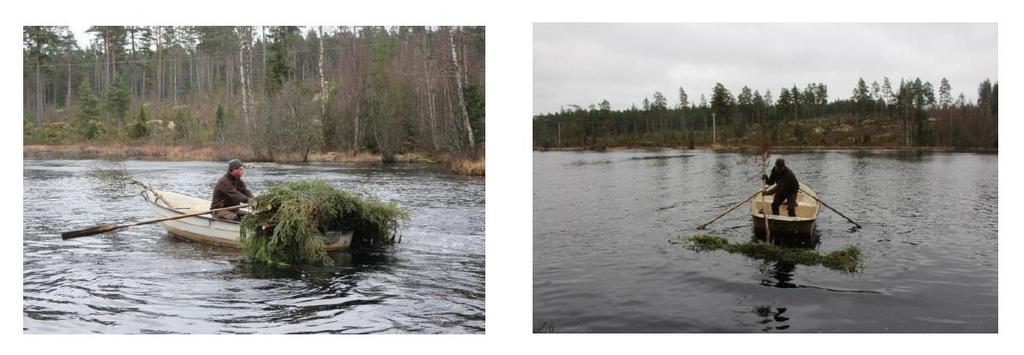 I Allgunnen har vasar lagts ut för att gynna fiskbeståndet (figur 15). Även i andra sjöar i kommunen är detta en vanlig åtgärd men som har minskat i omfattning under senaste decennierna.