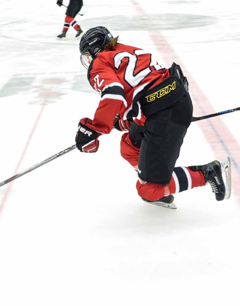 HOCKEYGYMNASIUM Vi i Malmö Redhawks vill kunna erbjuda våra hockeysatsande tjejer en möjlighet att kunna kombinera studier med ishockey på hög nivå.