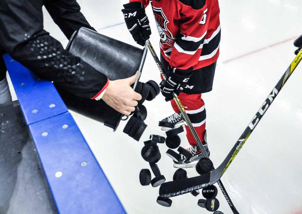 Tillsammans med Fria Läroverken skapar Malmö Redhawks förutsättningar för damhockeyn att utvecklas.