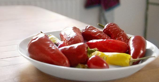 Men när hyresvärden sa stopp valde familjen Lundahl Osterman att stanna på Gotland. Familjens döttrar var 11 och 13 år när flyttlasset gick.