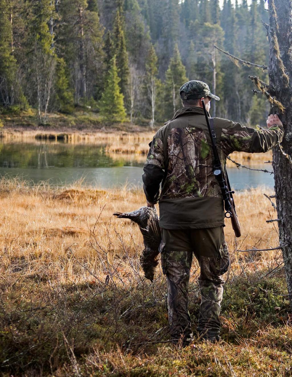 Vindelfjällen I den fjällnära urskogen finns