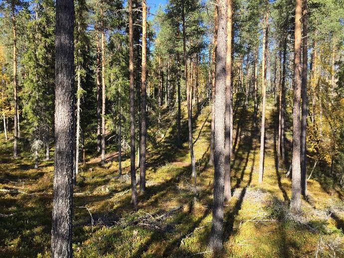 Över Grövlan vid Gröveldalsvallen finns en enkel bro avsedd för snöskoter/fyrhjuling. Se översiktskartor i skala 1:100 000 och 1:10 000 samt skogskartor i skala 1:10 000.