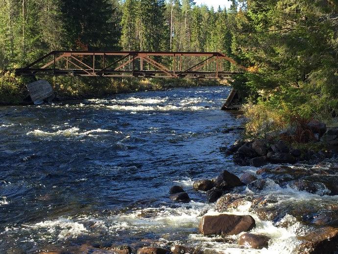 Skogsvård Fastigheten äger andel (0,01854 %) i SärnaIdre Besparingsskog som för närvarande lämnar bidrag till bl.a. skogsvårdsåtgärder. Bidraget är f.n. maximerat till 25 000 kr/ägare/år.