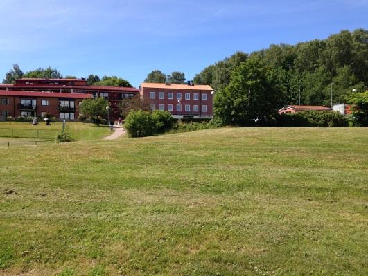 Förutsättningar Mark och vegetation Planområdet är beläget ca 30 meter öster om Rådavägen och 90 meter väster om Stensjön.