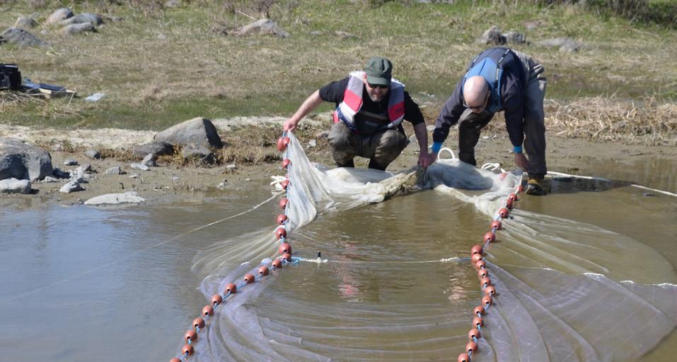 Under våren 2010 beviljades Upplandsstiftelsen medel för projekt Förstärkta fiskbestånd i Roslagens skärgård som pågick 2010 2012.